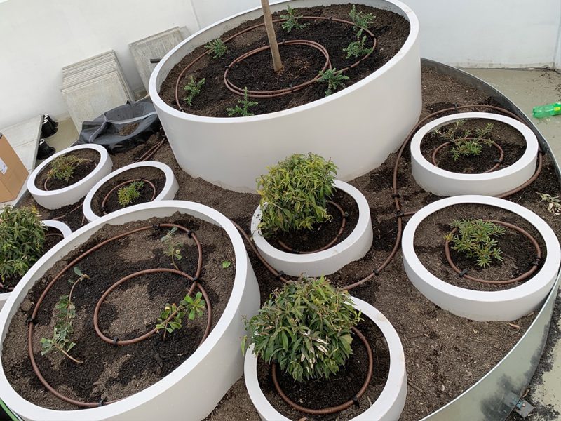 garden-iriigation